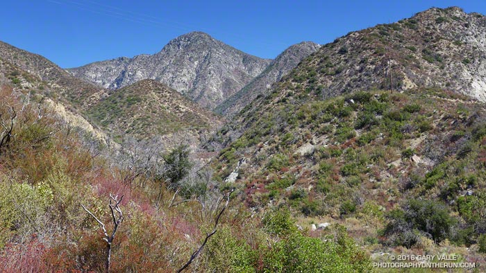 Strawberry Peak and Colby Canyon