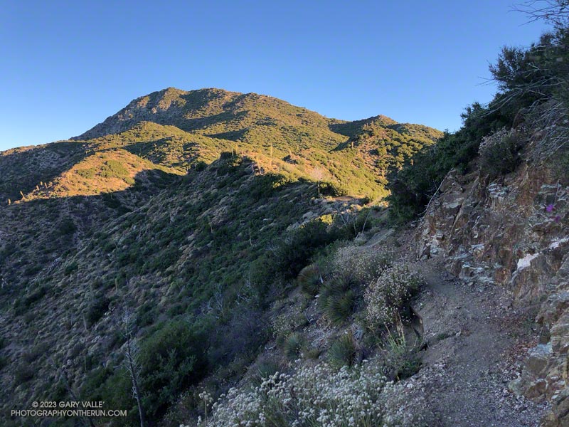 Early morning view of Strawberry Peak from the Strawberry Trail, near Lawlor Saddle.
