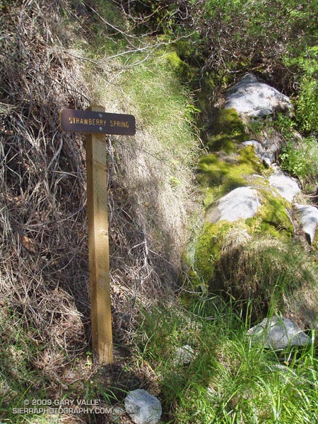 Strawberry Spring, about 1.25 mile from Lawlor Saddle (2005)