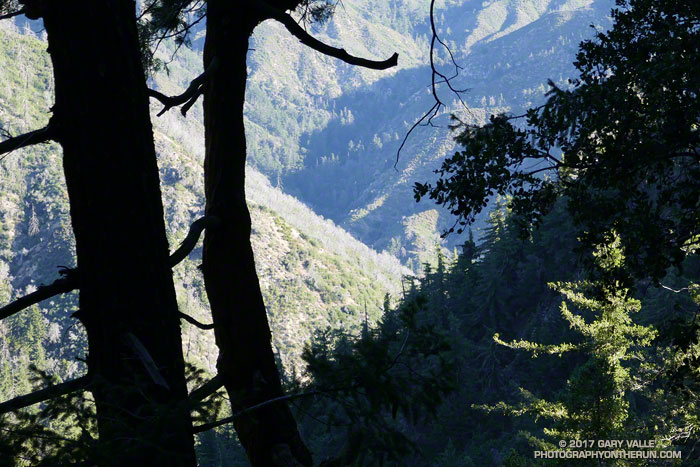 Strayns Canyon from the Kenyon Devore Trail in Angeles National Forest