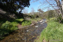 Stream crossing on the Blue Canyon segment of the Backbone Trail.