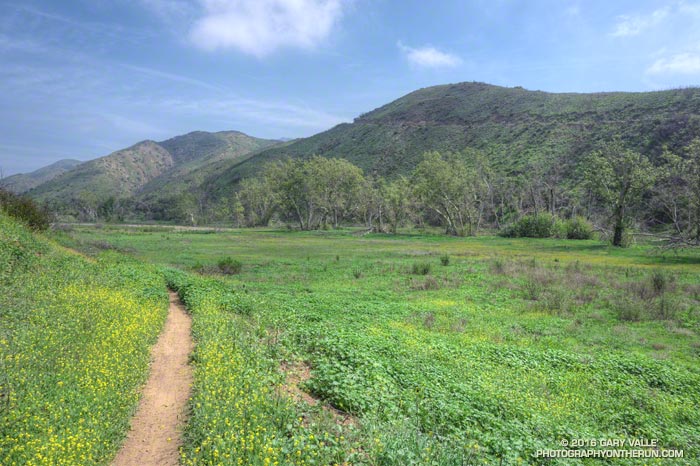 View north in Sycamore Canyon on the Two Foxes Trail, between Wood Canyon and Ranch Center Fire Road.