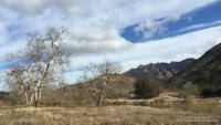 Sycamore Canyon near the Danielson Multi-Use Area.