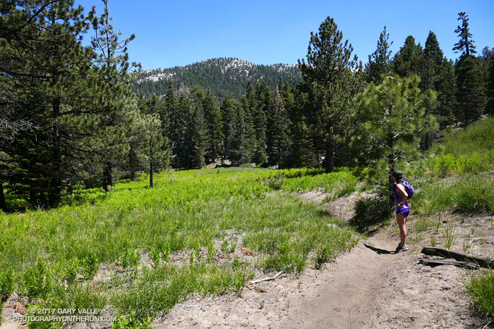 Tahquitz Meadow