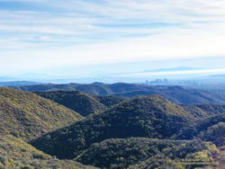 Downtown Los Angeles from Temescal Peak and the chaparral typical of the area.