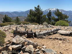 Summit of Throop Peak in the San Gabriel Mountains, near Los Angeles.