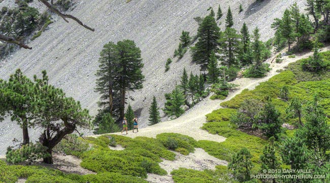 Runners on the trail to Telegraph Peak