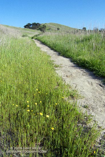 Trail leading to Lasky Mesa at Ahmanson Ranch.