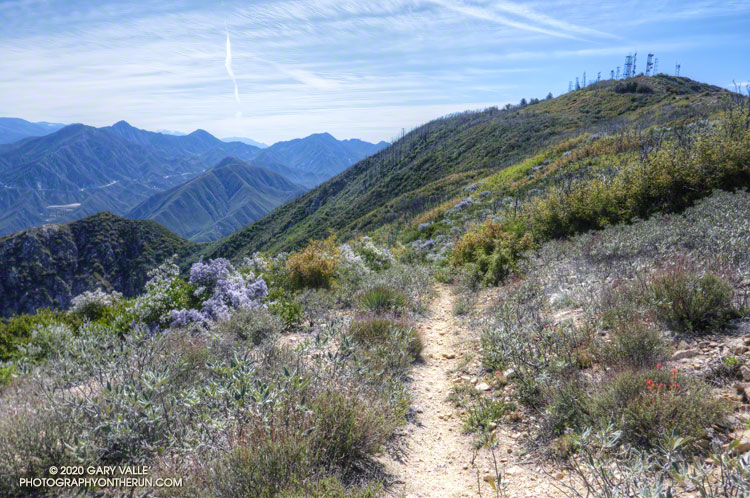 Top of the Stone Canyon Trail on Mt. Lukens