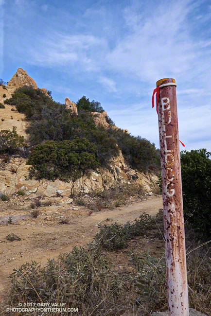 The top of the Bulldog climb. From Crags Road to Castro Peak fire road, the Bulldog fire road gains about 1727 feet in 3.4 miles.