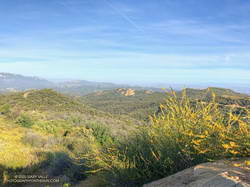 View toward Eagle Rock from Temescal Peak