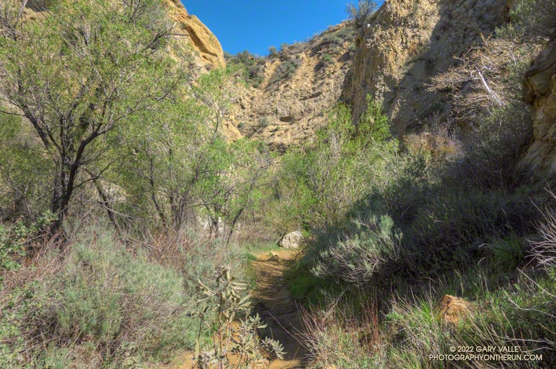 Entrance to the Narrows on the Towsley Canyon Loop Trail in Santa Clarita Woodlands Park.  March 6, 2022.