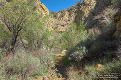 Entrance to the Narrows on the Towsley Canyon Loop Trail