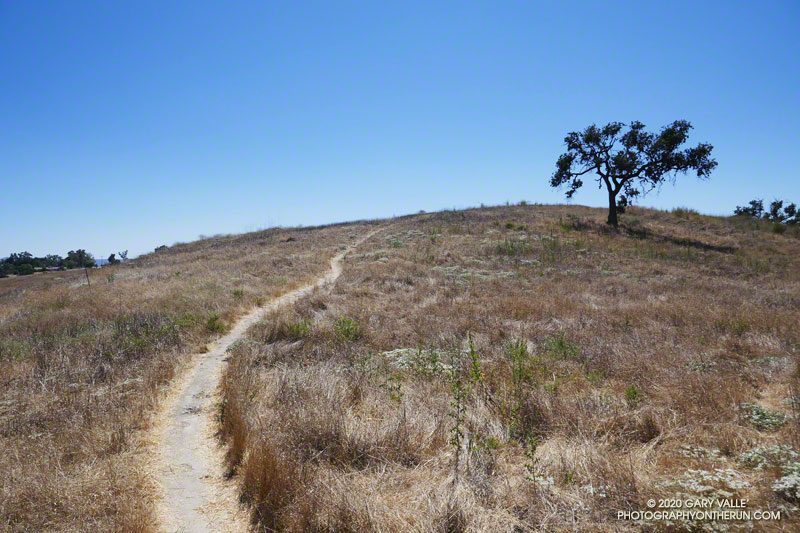 Hot weather on an Ahmanson Ranch Trail.