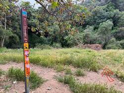 Trail sign marking junction of the Will Rogers and Josepho Drop Trails. (thumbnail)