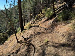 Trailwork on the Rim Trail near Newcomb Pass.