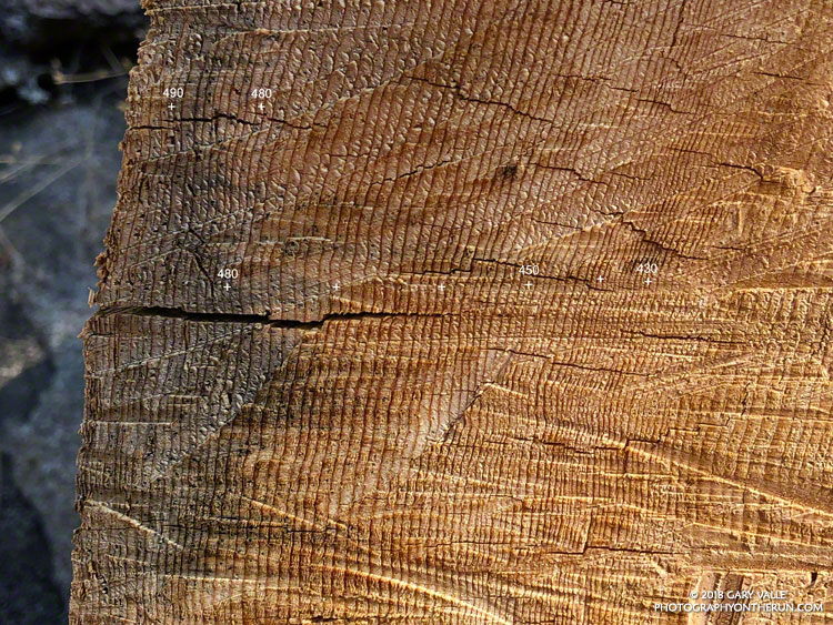 Varying tree ring widths in an old growth Jeffrey pine on the south side of Waterman Mountain. A careful -- but inexact -- count of its rings totals about 500. The tree was killed in the 2009 Station Fire.