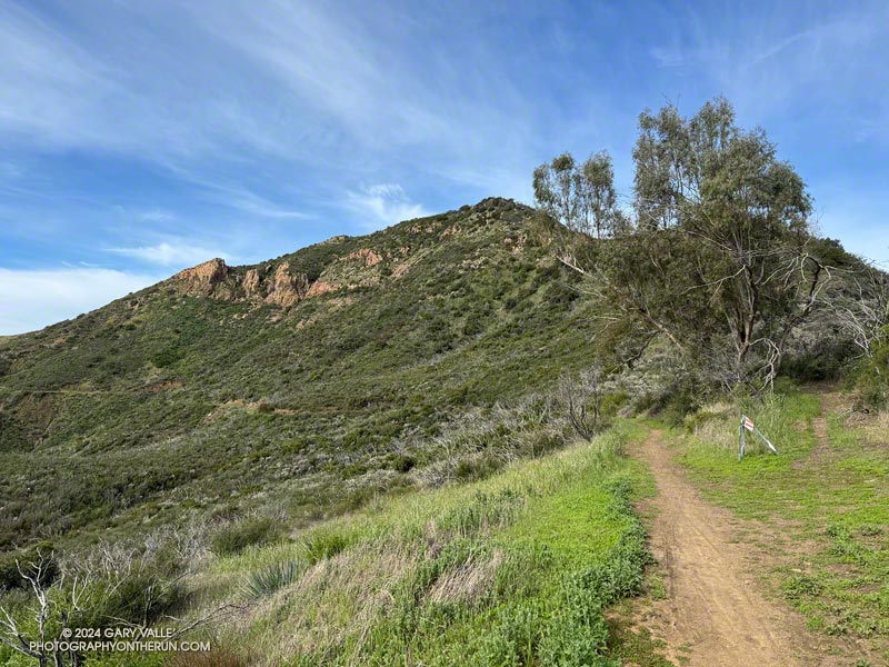 Visit These Hiking Trails Near Northridge