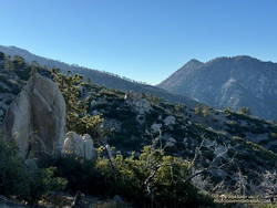 Twin Peaks from the Three Points - Mt. Waterman Trail, about 1.5 miles from Three Points. (thumbnail)