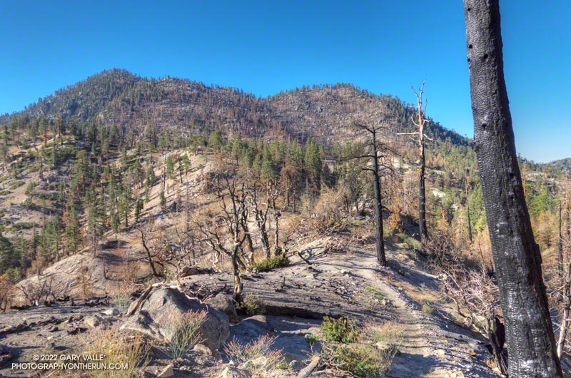 Twin Peaks from low on the Twin Peaks Trail, following the Bobcat Fire