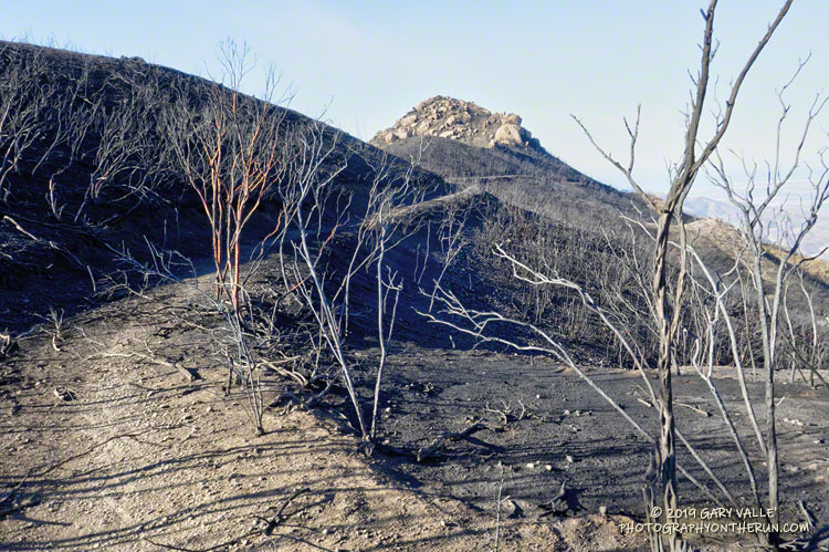 A stretch of the Chamberlain Trail segment of the Backbone Trail burned in the Woolsey Fire. This is just west of its junction with the Tri Peaks Trail.