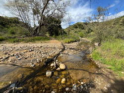 Upper Las Virgenes Creek (thumbnail)
