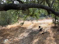 A tranquil spot along the Backbone Trail in Upper Solstice Canyon.