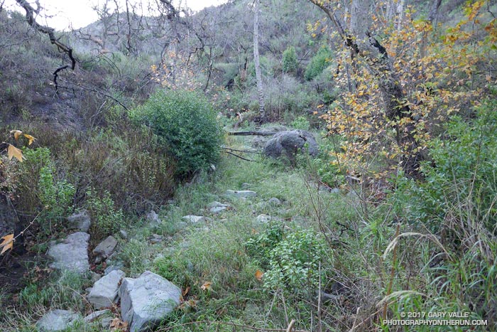 Upper Sycamore Creek just above the Danielson Road crossing. January 1, 2017.