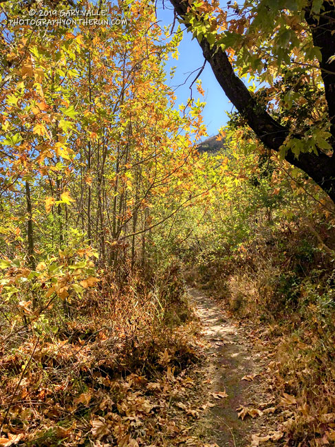 Fall on the Upper Sycamore Trail in Point Mugu State Park