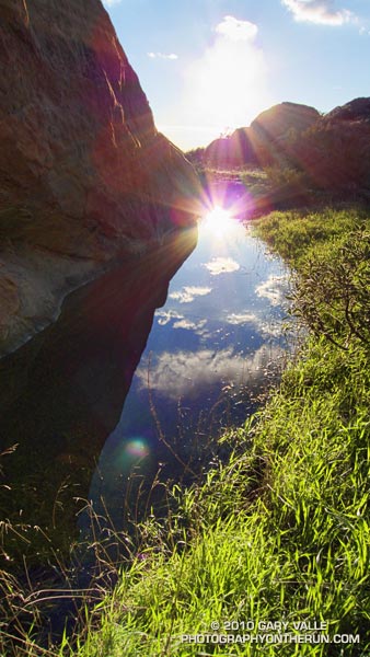 Rocky Peak vernal pool