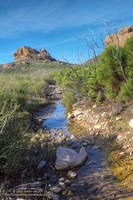 Vernal stream on the Chamberlain segment of the Backbone Trail