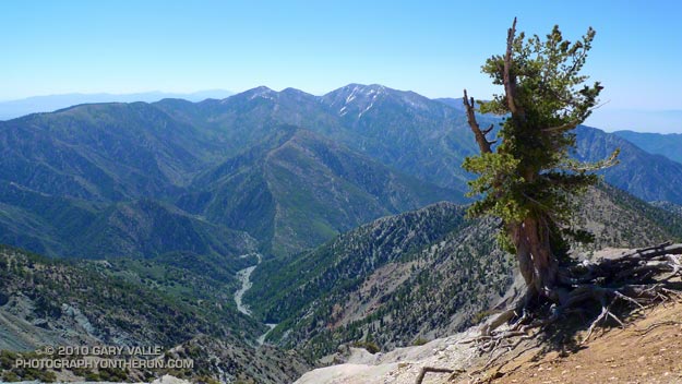View across mile deep Vincent Gulch to Mt. Baldy from the south ridge of Mt. Baden-Powell. June 20, 2010.