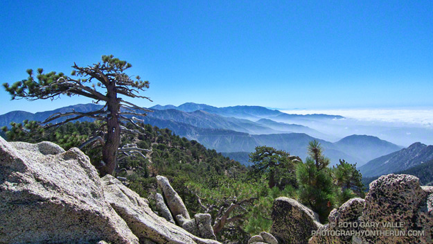 View east from Mt. Waterman to Mt. Baldy