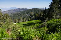 Wellman Cienaga from the Wellman Divide Trail