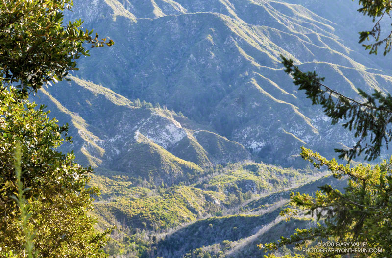 Looking down into the canyon of the West Fork San Gabriel River from Mt. Wilson Road. Rincon - Red Box Road is hidden in the trees below the light-colored rocky area in the center-left of the photo. That point of the road is less than a mile from West Fork.
