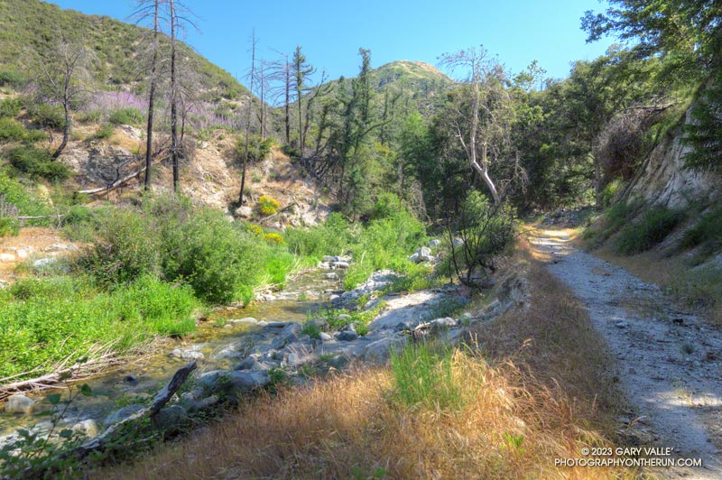 West Fork San Gabriel River and Rincon Red Box Road, near West Fork Camp. June 4, 2023.