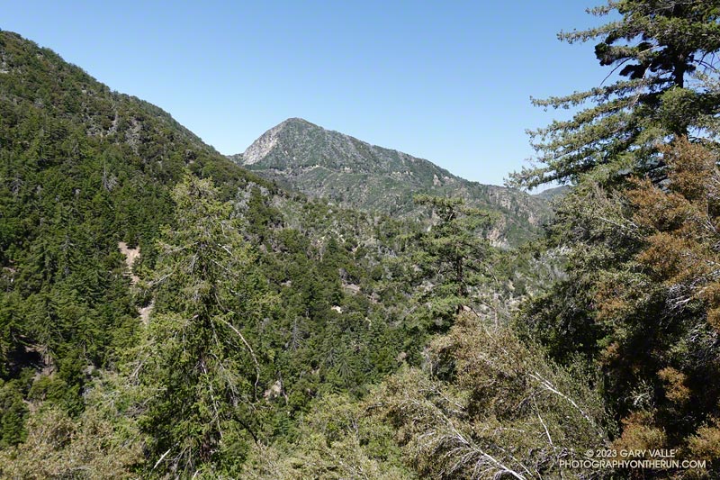 Looking up at San Gabriel Peak and Mt. Wilson Road from the Kenyon Devore Trail.