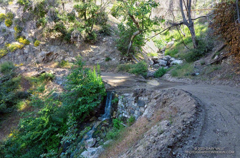 Side creek along Rincon Red Box Road.  This was one of maybe 10 stream crossings. Those lower in the canyon were unavoidable get-your-feet-wet crossings as of June 4, 2023.