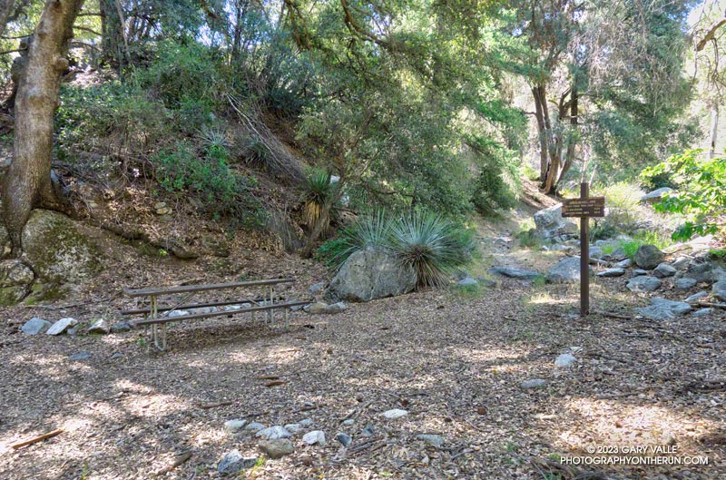 Gabrielino Trail at West Fork Camp. The Gabrielino Trail was overgrown with grass leaving West Fork but the water pipe was easy to access. June 4, 2023.
