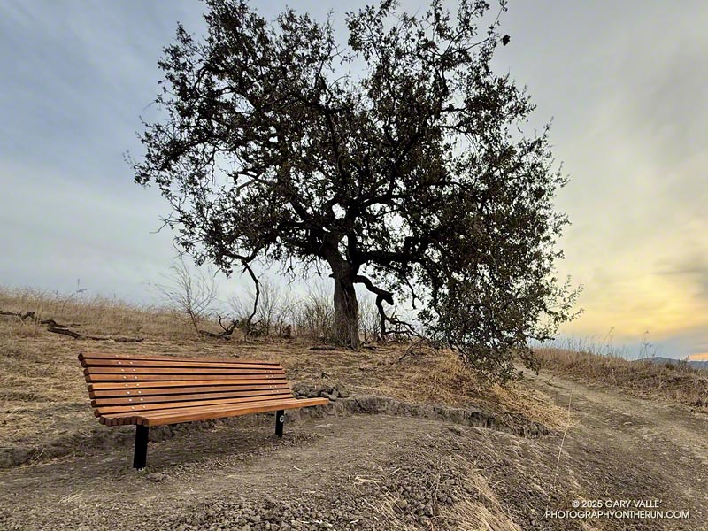 Here's the bench a month before the Kenneth fire. The valley oak next to it was lost in the fire.