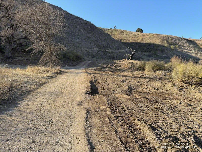 The Las Virgenes Canyon Trail/Fireroad was widened into a firebreak.  January 28, 2025.