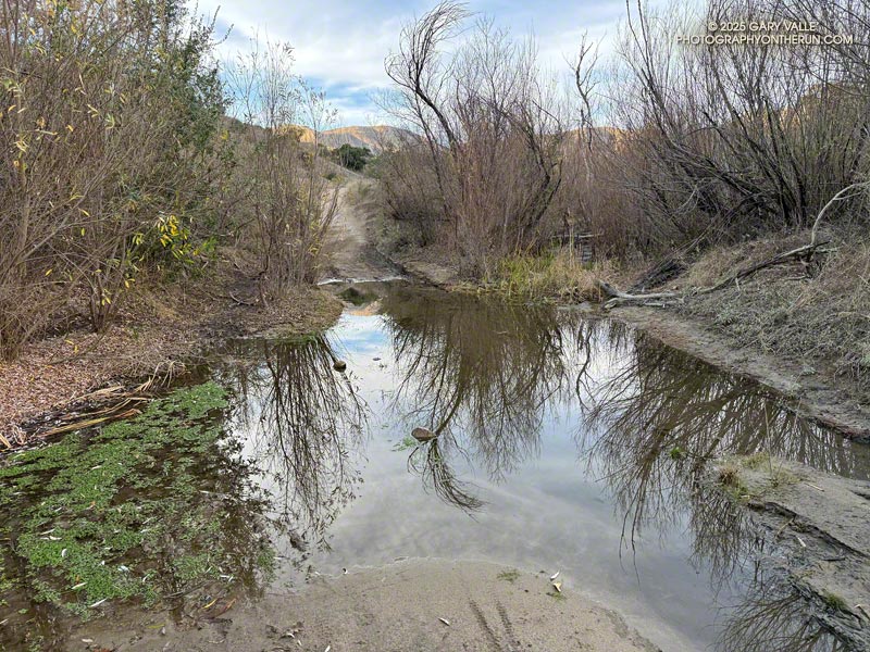 Pool on Las Virgenes Creek, north of the Las Virgenes Trailhead. Firefighters prevented the Kenneth Fire from moving into this area. The photo was taken a couple of days before the fire.