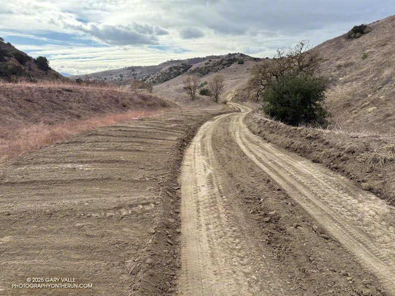 A restored section of the East Las Virgenes Canyon Trail/Fireroad, about four weeks after the start of the Kenneth Fire. February 4, 2025.