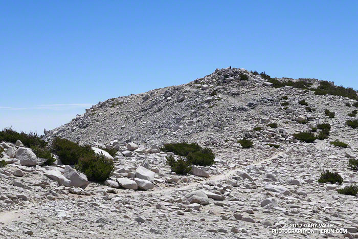The final section of trail leading to the summit of 11, 499' San Gorgonio Mountain, the highest peak in Southern California. There was only one other person on the summit at 10:45 a.m. He had ascended the peak via the Vivian Creek Trail.