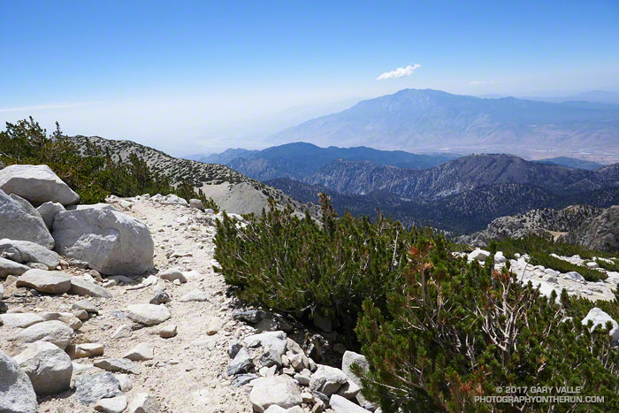 San Jacinto Peak (10839') from the Sky High Trail on the south side of San Gorgonio Mountain.