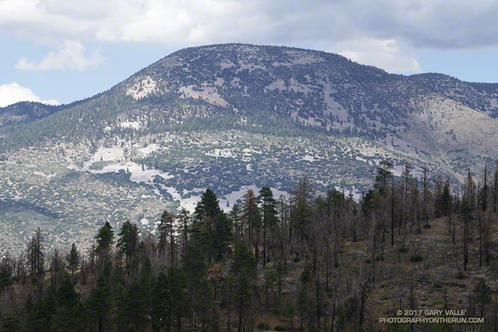 Sugarloaf Mountain (9952') from the South Fork Trail.