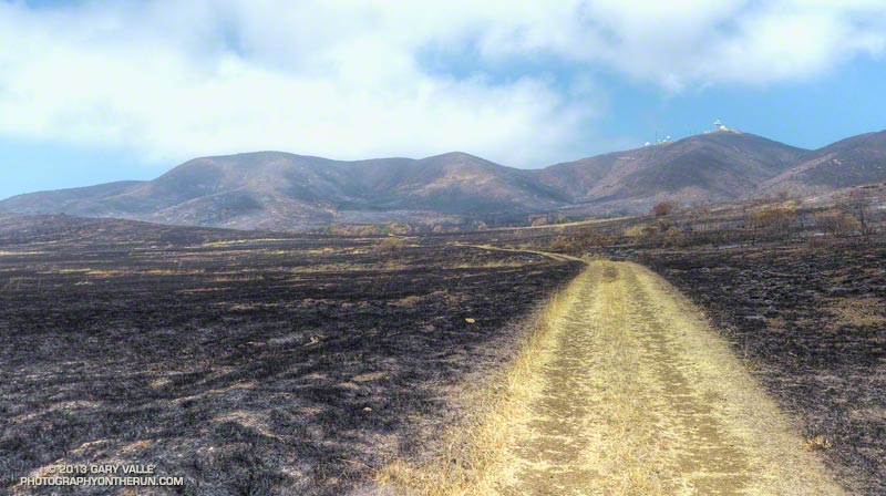 Burned grassland and coastal sage/scrub in La Jolla Valley. Laguna Peak in the distance. May 25, 2013.