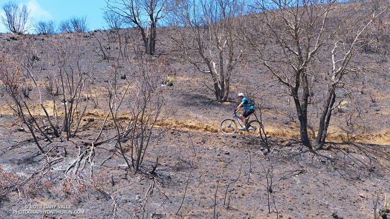 Mountain biker near the bottom of the Wood Canyon Vista Trail segment of the Backbone Trail. The huge log at the water faucet is gone. May 25, 2013.