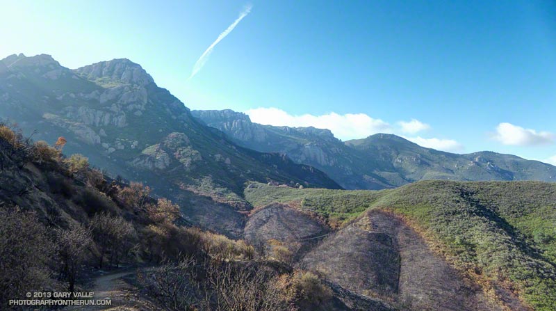 A swath of burned chaparral on the western escarpment of Boney Mountain. May 25, 2013.