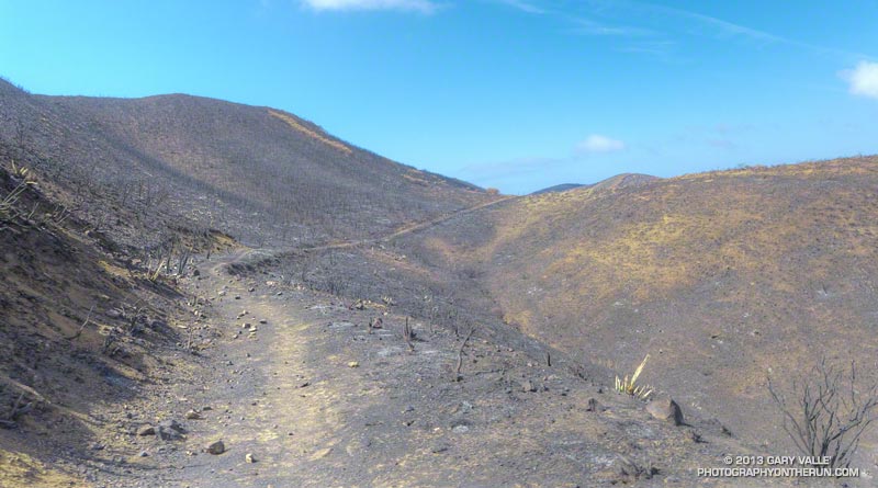A severely burned section of the Old Boney Trail near the Serrano Trail junction. May 25, 2013.